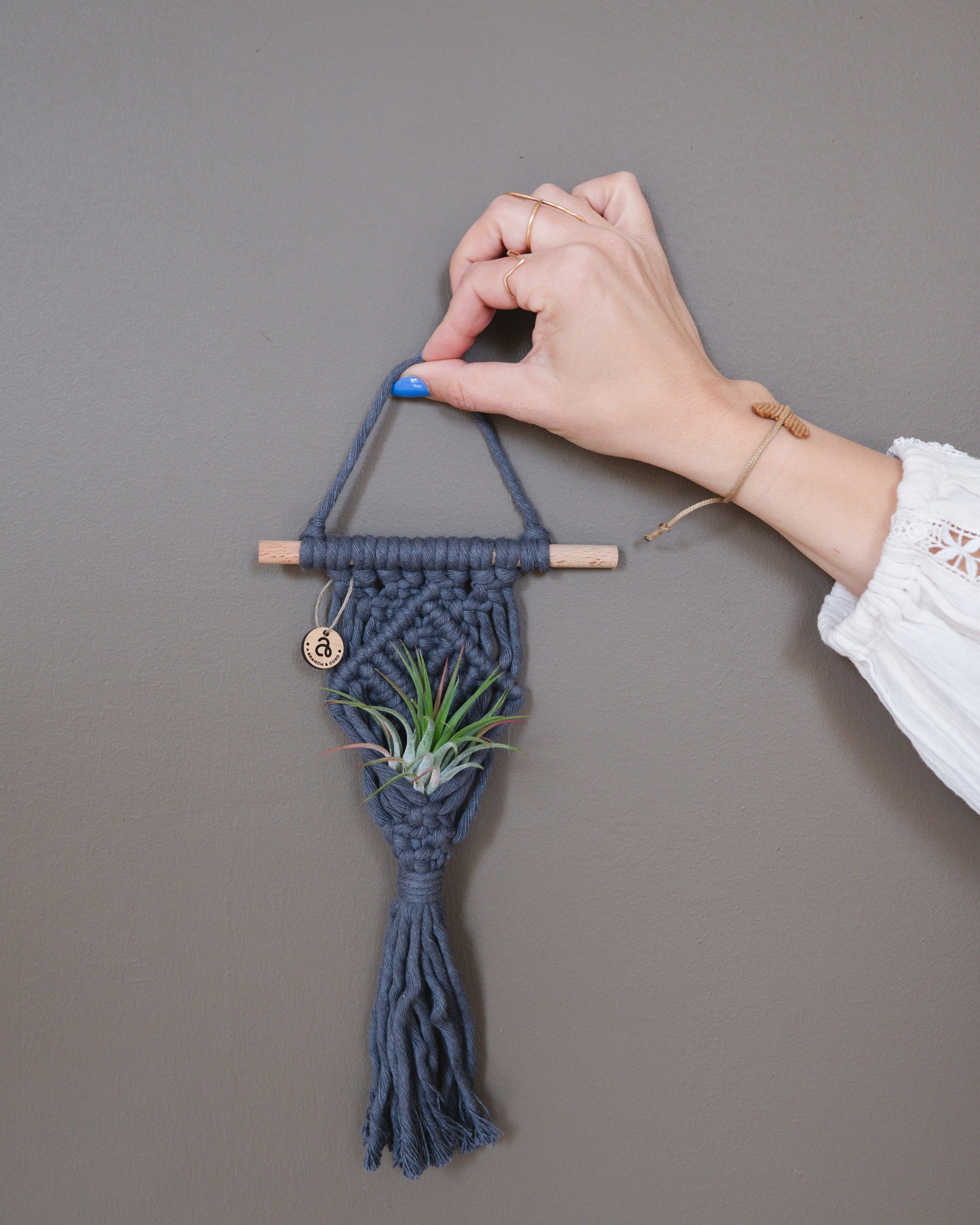 Macrame Air Plant Hanger