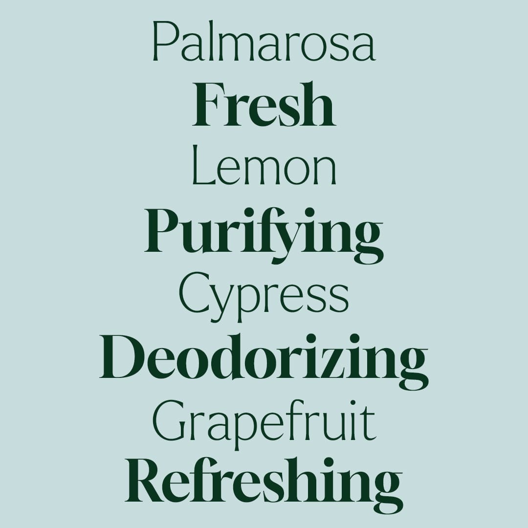 Deodorizing Powder