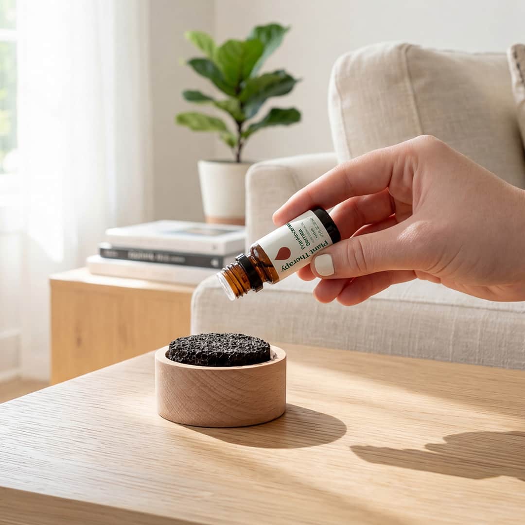 Lava Rock Passive Diffuser