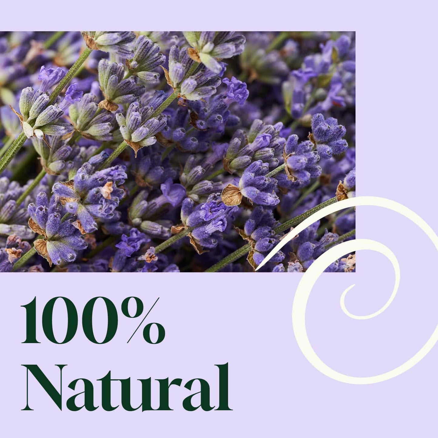 Blissful Dreams Lavender Pillow Spray 2oz
