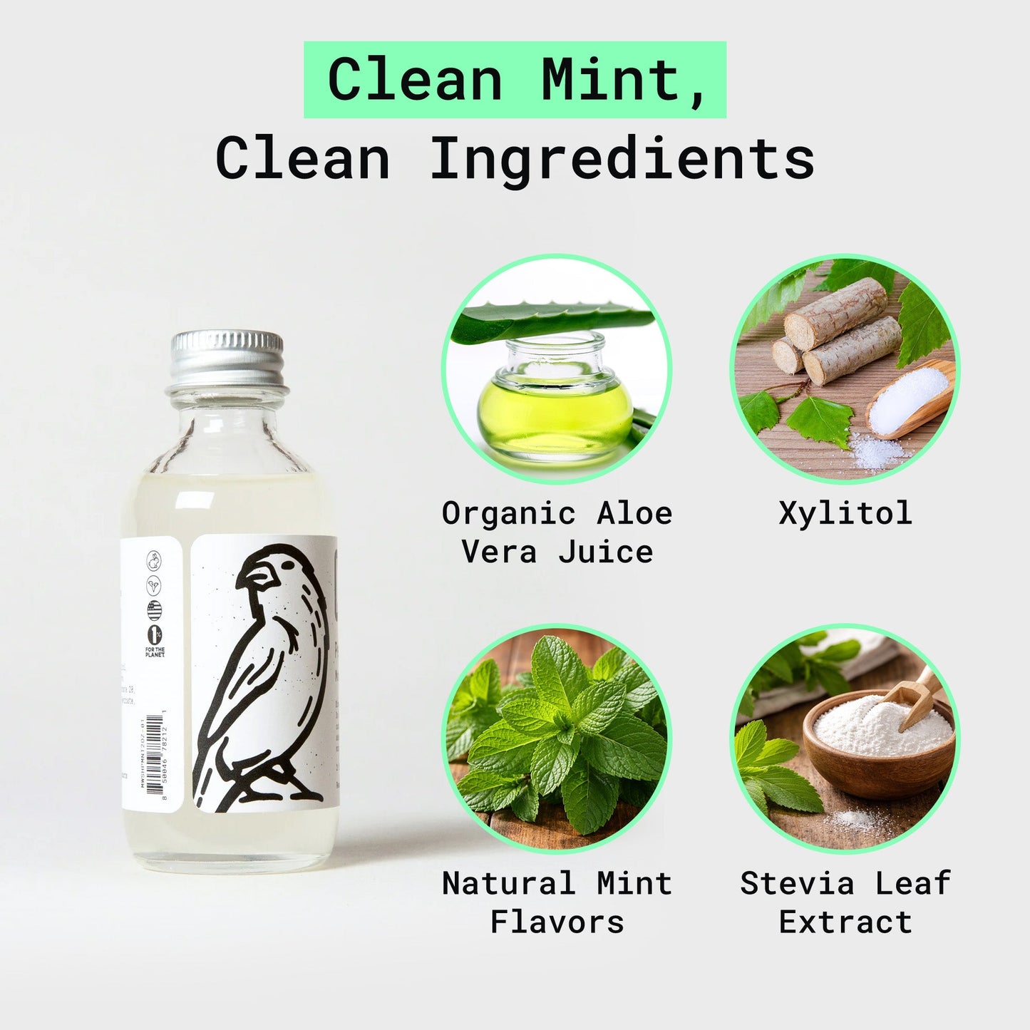 Peppermint Mouthwash Concentrate | Fluoride-Free Mouthwash with Xylitol & Aloe Vera
