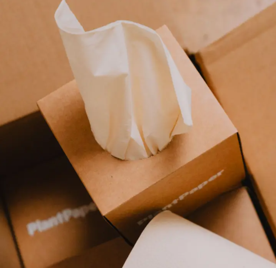 Plant Tissue Paper