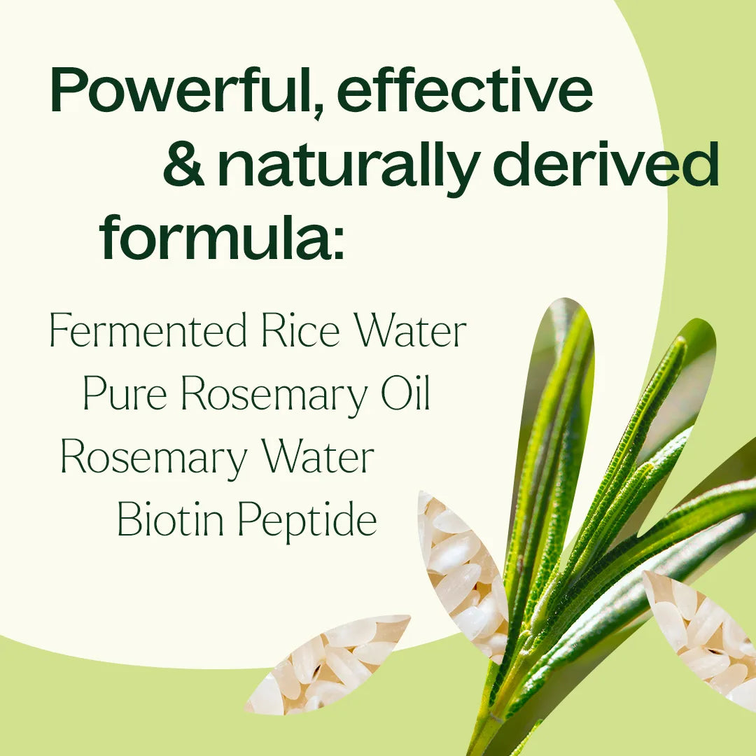 Rosemary & Rice Water Daily Hair Growth Spray 2oz