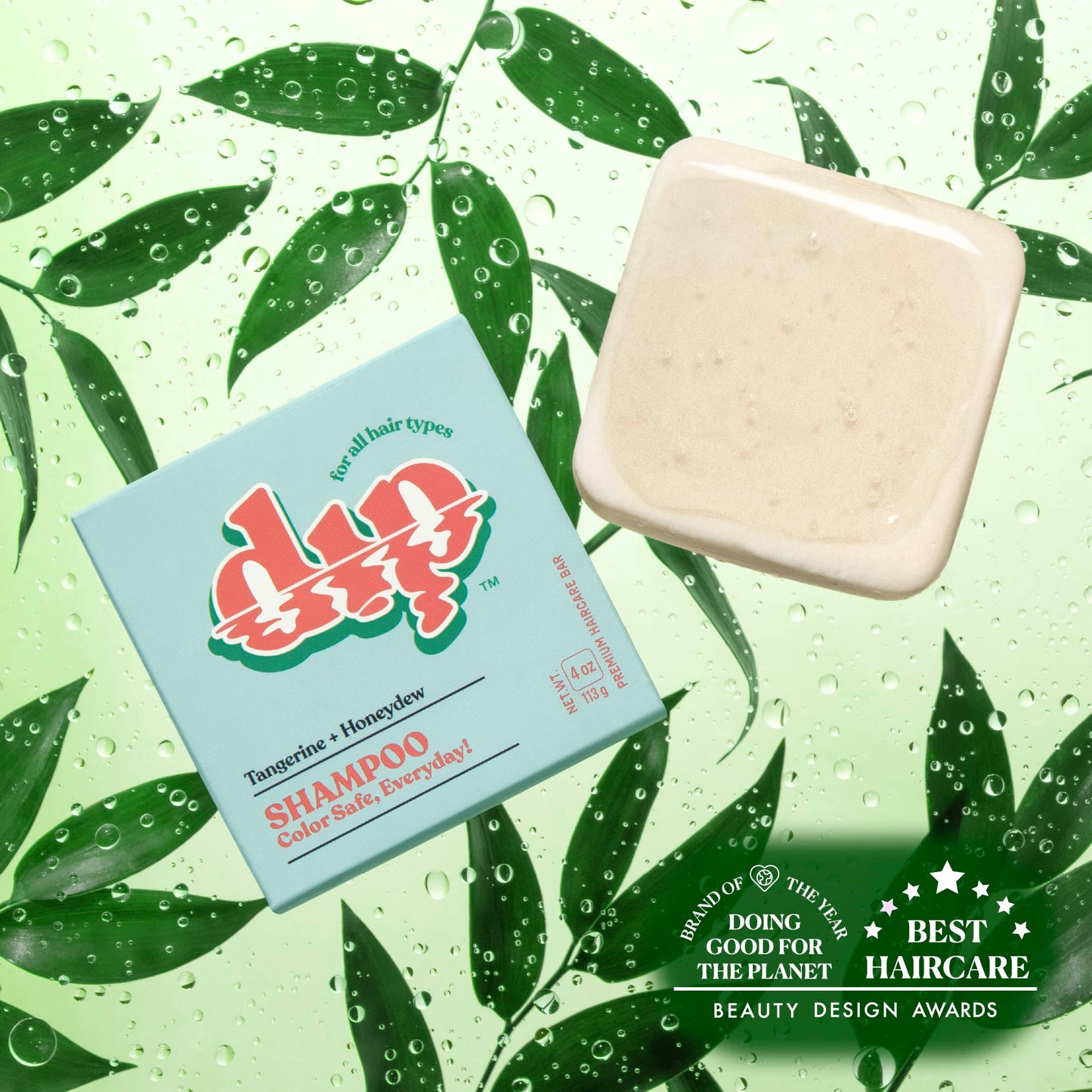 Dip Shampoo Bar: Color Safe, Everyday - Tangerine & Honeydew