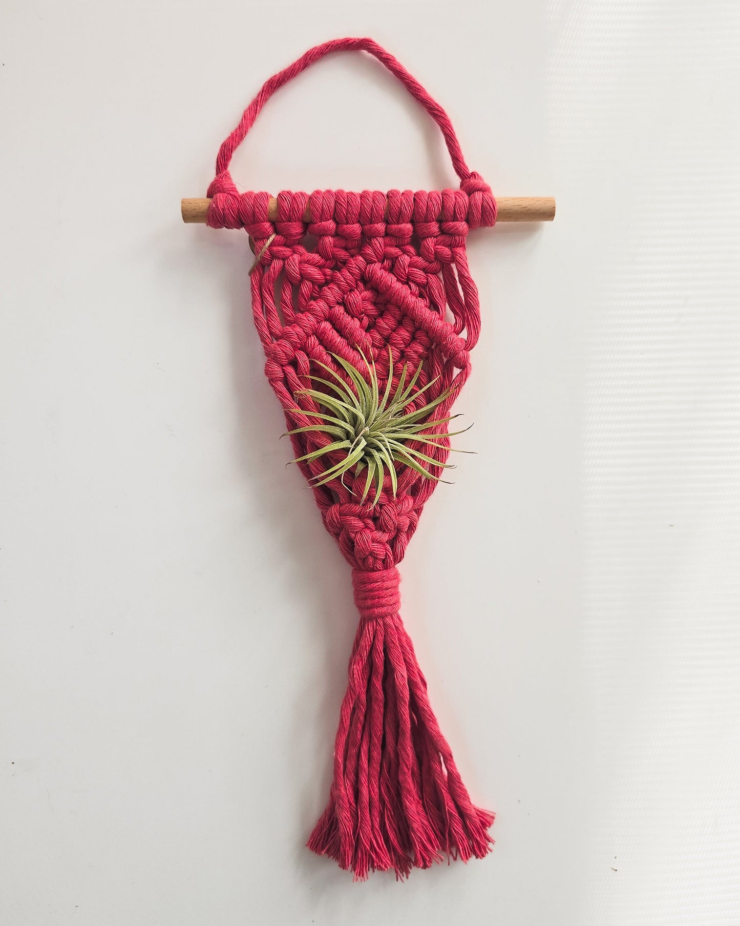 Macrame Air Plant Hanger