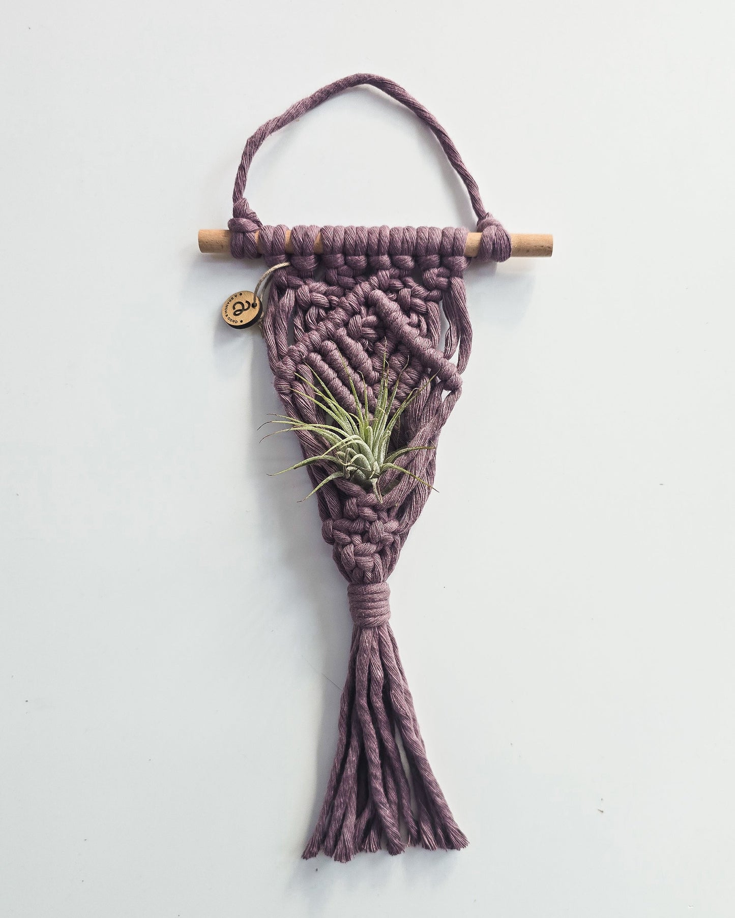 Macrame Air Plant Hanger
