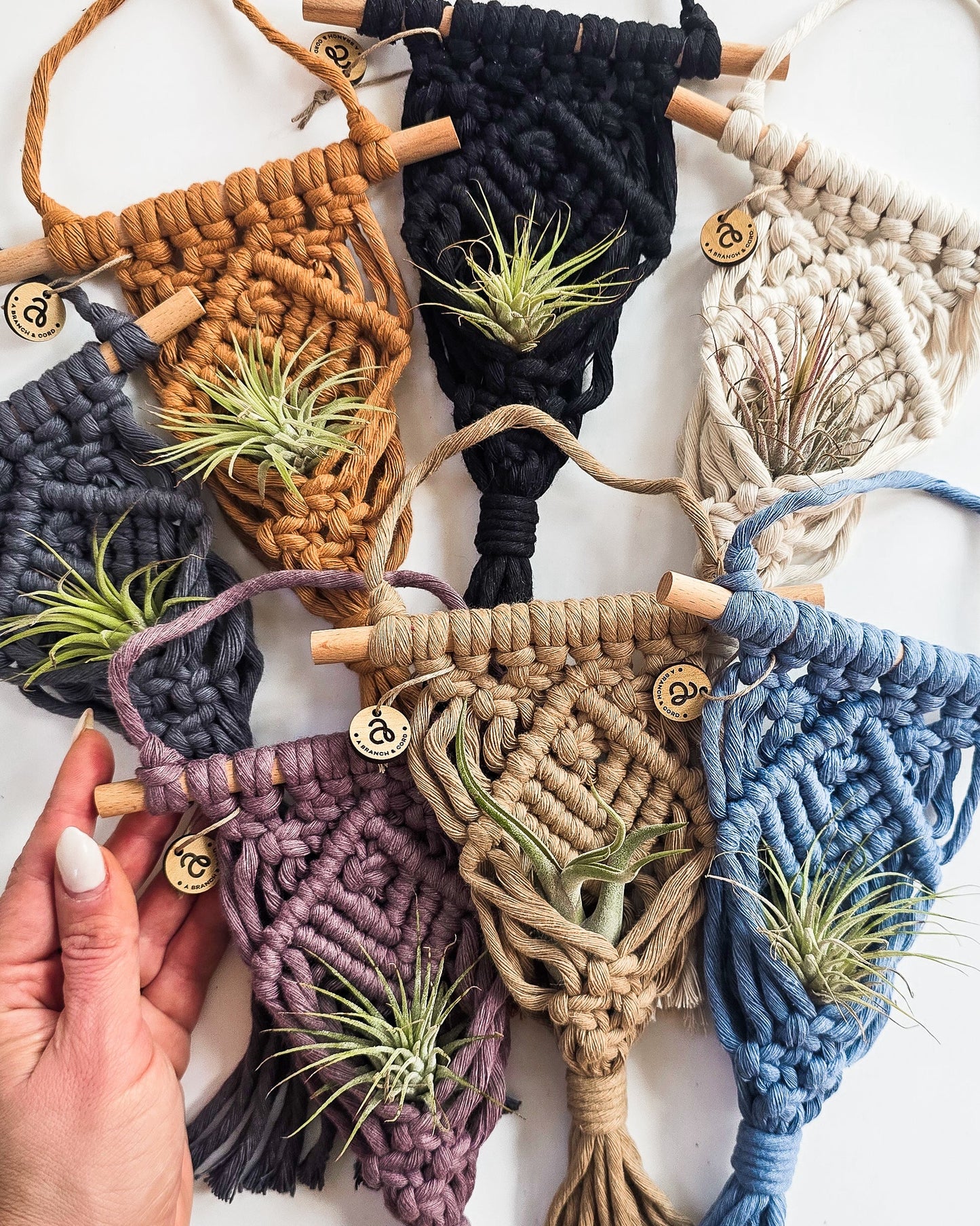 Macrame Air Plant Hanger